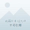 开局出生在圣地的玄幻 开局出生在圣地的玄幻