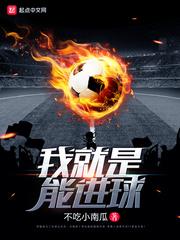 我就是能进球epub 我就是能进球epub