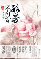 孤芳不自赏 简介 孤芳不自赏 简介