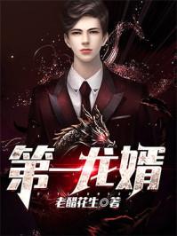 第一龙婿免费 第一龙婿免费