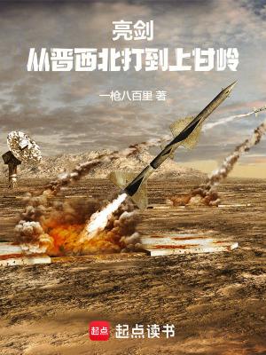 亮剑:从晋西北打到上甘岭 亮剑:从晋西北打到上甘岭