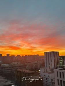 最后boss是女帝 最后boss是女帝